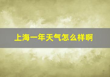 上海一年天气怎么样啊