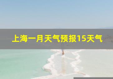 上海一月天气预报15天气