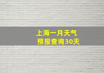 上海一月天气预报查询30天