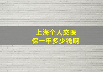 上海个人交医保一年多少钱啊