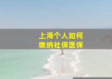 上海个人如何缴纳社保医保