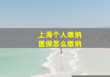 上海个人缴纳医保怎么缴纳