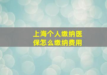 上海个人缴纳医保怎么缴纳费用