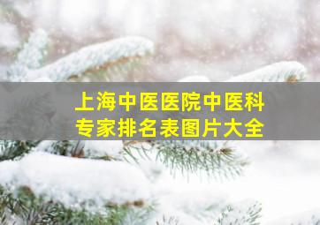 上海中医医院中医科专家排名表图片大全