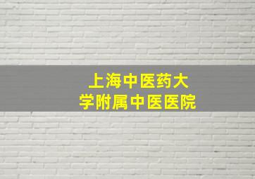 上海中医药大学附属中医医院