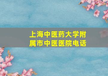 上海中医药大学附属市中医医院电话