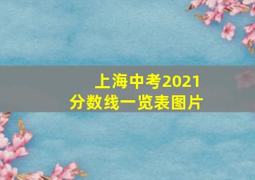 上海中考2021分数线一览表图片