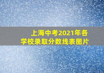 上海中考2021年各学校录取分数线表图片