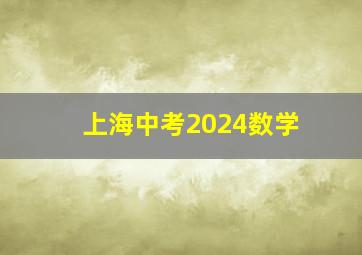 上海中考2024数学