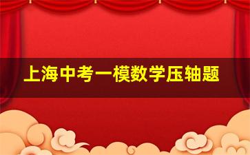 上海中考一模数学压轴题