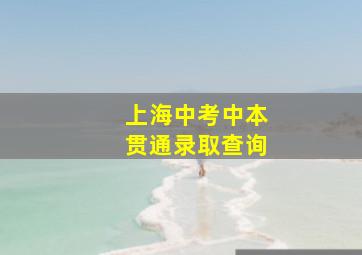 上海中考中本贯通录取查询