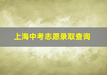 上海中考志愿录取查询