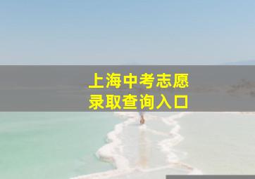 上海中考志愿录取查询入口