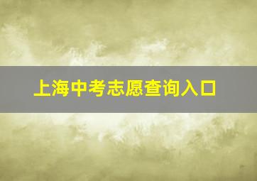 上海中考志愿查询入口