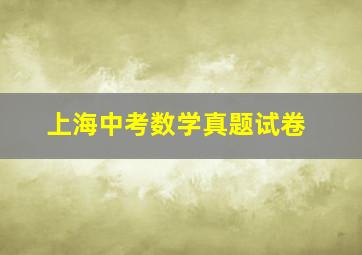 上海中考数学真题试卷