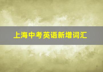 上海中考英语新增词汇