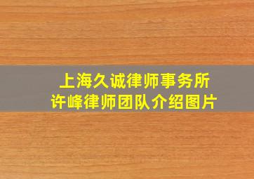 上海久诚律师事务所许峰律师团队介绍图片