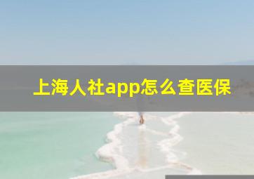 上海人社app怎么查医保