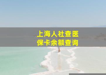 上海人社查医保卡余额查询