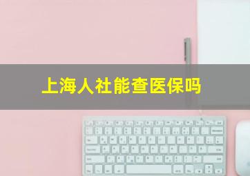 上海人社能查医保吗