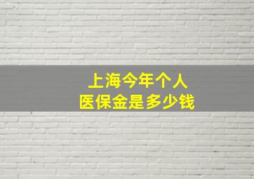 上海今年个人医保金是多少钱