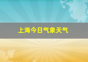 上海今日气象天气