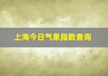 上海今日气象指数查询