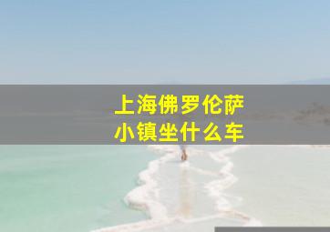 上海佛罗伦萨小镇坐什么车