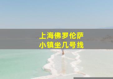 上海佛罗伦萨小镇坐几号线