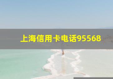 上海信用卡电话95568