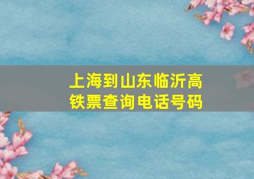 上海到山东临沂高铁票查询电话号码