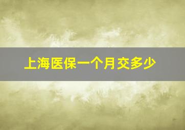 上海医保一个月交多少