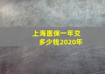 上海医保一年交多少钱2020年