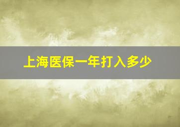 上海医保一年打入多少