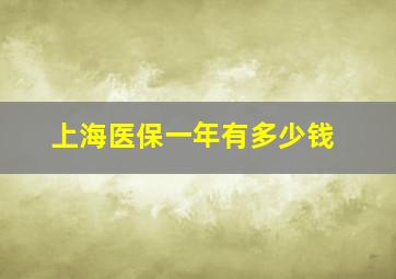 上海医保一年有多少钱