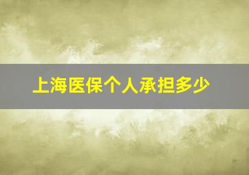 上海医保个人承担多少