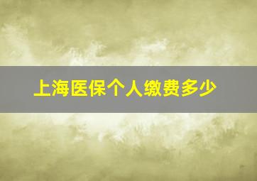 上海医保个人缴费多少