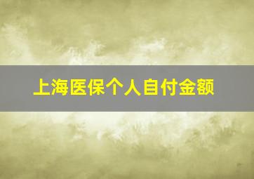 上海医保个人自付金额