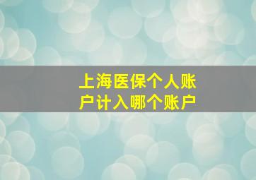 上海医保个人账户计入哪个账户