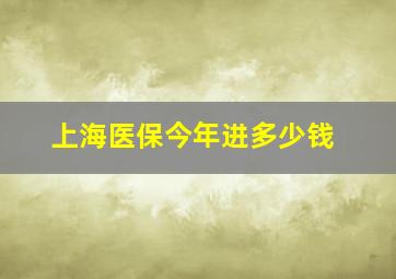 上海医保今年进多少钱