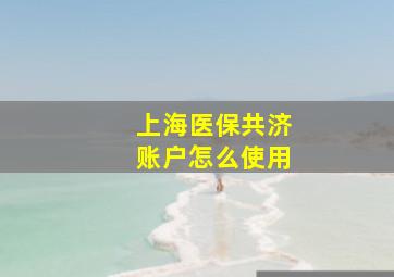 上海医保共济账户怎么使用