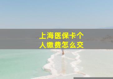 上海医保卡个人缴费怎么交