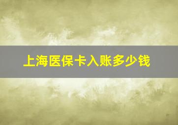 上海医保卡入账多少钱