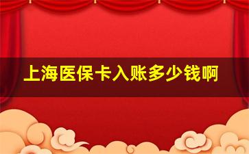 上海医保卡入账多少钱啊