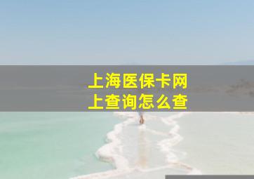 上海医保卡网上查询怎么查