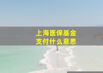 上海医保基金支付什么意思