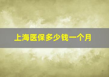 上海医保多少钱一个月