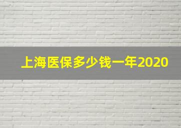 上海医保多少钱一年2020