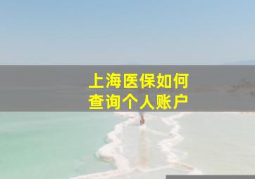 上海医保如何查询个人账户