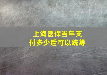 上海医保当年支付多少后可以统筹